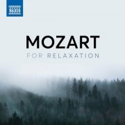 Johannes Wildner, Matyas Antal, Barry Wordsworth, Richard Edlinger - Mozart For Relaxation (2022)