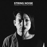 String Noise - The Book of Strange Positions (2015)