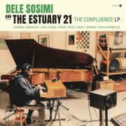Dele Sosimi, The Estuary 21 - The Confluence LP (2024) [Hi-Res]