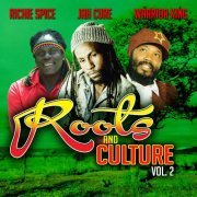 Richie Spice, Jah Cure, Warrior King - Roots & Culture, Vol. 2 (2017) [Hi-Res]