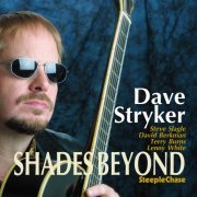 Dave Stryker - Shades Beyond (2004) FLAC