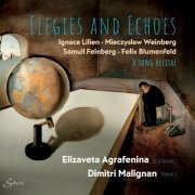 Elizaveta Agrafenina - Elegies and Echoes (2024)