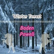 Baden Powell - Winter Forest (2018)