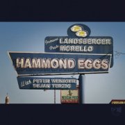Jermaine Landsberger, Paulo Morello, Peter Weniger, Dejan Terzic - Hammond Eggs (2007) [Hi-Res]