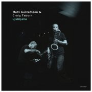 Mats Gustafsson, Craig Taborn - Ljubljana (2017) [Hi-Res]