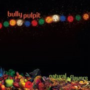 Bully Pulpit - Natural Flavors (2023) Hi Res