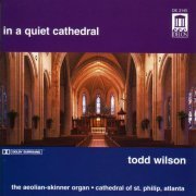 Todd Wilson - In A Quiet Cathedral (1994)