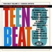 VA - Teen Beat Volume 3: Another 30 Great Rockin' Instrumentals (1996)