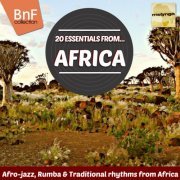 Various Artists - 20 Essentials from Africa (Afro-Jazz, Rumba & Traditional Rhythms from Africa) (2016) [Hi-Res]