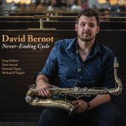 David Bernot - Never-Ending Cycle (2022)