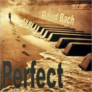 David Bach - Perfect (2020)