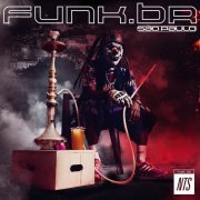 Various Artists - funk.BR - São Paulo (NTS) (2024) [Hi-Res]