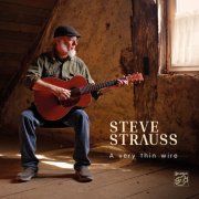 Steve Strauss - A Very Thin Wire (2020) [Hi-Res]