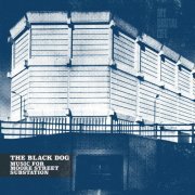 The Black Dog - Music For Moore Street Substation (2023)
