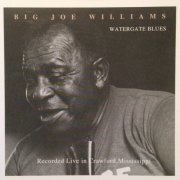 Big Joe Williams - Watergate Blues (Reissue) (1991)