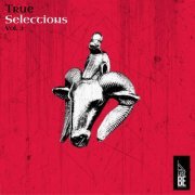 VA - True Selections, Vol. 2 (2019)