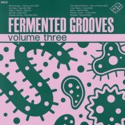 VA - Fermented Grooves Vol 3 (2023)