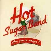 Hot Sugar Band - Are You In Shape? (2014)
