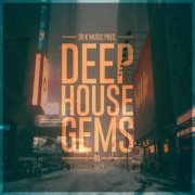 VA - Silk Music Pres. Deep House Gems 01 (2019)