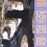 Forever Einstein - Opportunity Crosses The Bridge (1992)
