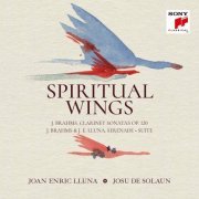Joan Enric Lluna & Josu De Solaun - Spiritual Wings (2024) [Hi-Res]