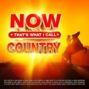 VA - NOW Thats What I Call Country (2024) [4CD]