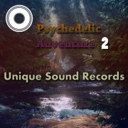 Various Artists - Psychedelic Adventure 2 (2017) FLAC