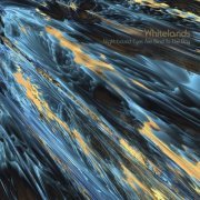 Whitelands - Night-bound Eyes Are Blind To The Day (2024) Hi Res