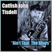 Catfish John Tisdell - Ain't That the Blues (2024)