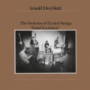 Arnold Dreyblatt - Nodal Excitation (1998)