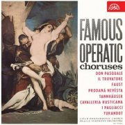Jiří Pinkas - Famous Operatic Choruses (Don Pasquale, Il Trovatore, Faust, Prodaná nevěsta, Tannhäuser, Cavalleria rusticana, I pagliacci) (2022)
