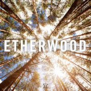 Etherwood - Etherwood (2013) [.flac 24bit/44.1kHz]