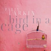 Patty Larkin - Bird In A Cage (2020)