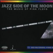 Sam Yahel, Mike Moreno, Ari Hoenig, Seamu Blake - Jazz Side of the Moon-Music of Pink Floyd (2008) CD Rip