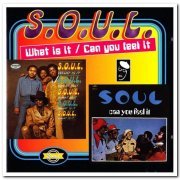 S.O.U.L. - What Is It & Can You Feel It (1996)