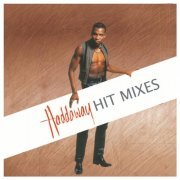 Haddaway - The Hit Mixes (2024)