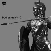 VA - Bud Sampler 12 (2024)
