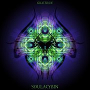 Soulacybin - Gratitude (2014)