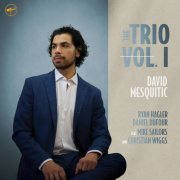 David Mesquitic - The Trio Vol. I (2024) [Hi-Res]