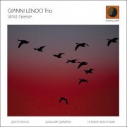 Gianni Lenoci Trio - Wild Geese (2020)