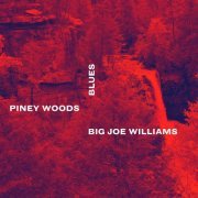 Big Joe Williams - Piney Woods Blues (2021) [Hi-Res]
