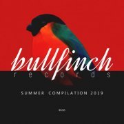 VA - Bullfinch Summer 2019 (2019)