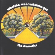 The Dramatics - Whatcha See Is Whatcha Get (1971/2011) CD-Rip