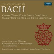 Thomas Gropper, L'Arpa Festante Baroque Orchestra, Arcis-Vocalisten Munich - Bach: Cantatas, BWV 12 & 147 (2013)