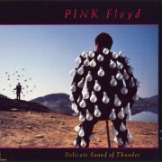 Pink Floyd - Delicate Sound Of Thunder (1988) CD-Rip