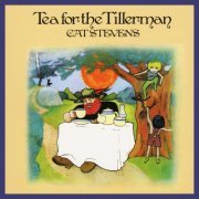 Cat Stevens - Tea For The Tillerman (2011) [Hi-Res+SACD]