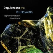 Dag Arnesen Trio - Dag Arnesen Trio (2024) [Hi-Res]