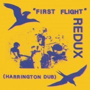 Dave Harrington, Chris Forsyth, Spencer Zahn - First Flight REDUX (2021) [Hi-Res]