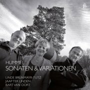 Bart van Oort, Jaap ter Linden, Linde Brunmayr-Tutz - Hummel: Sonatas & Variations (2016)