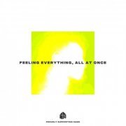 VA - Feeling Everything, All At Once (2024)